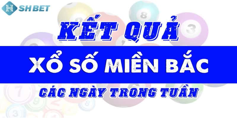 Cập nhật kết quả nhanh chóng