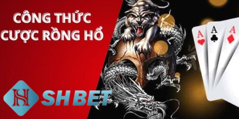 chơi rồng hổ luôn thắng