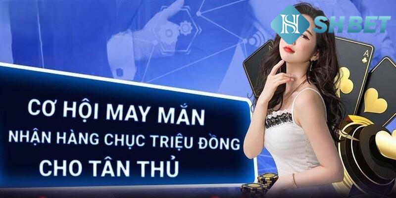 Giới thiệu sơ lược thông tin về thương hiệu nhà cái